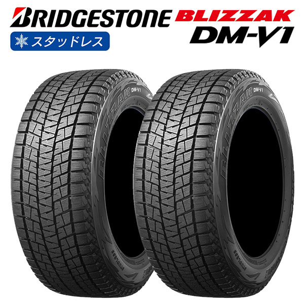 BRIDGESTONE ブリヂストン BLIZZAK DM-V1 215/65R16 4×4 SUV車用 スタッドレス 冬 タイヤ 2本セット  法人様専用 | LIGHT COLLECTION オンラインショップ